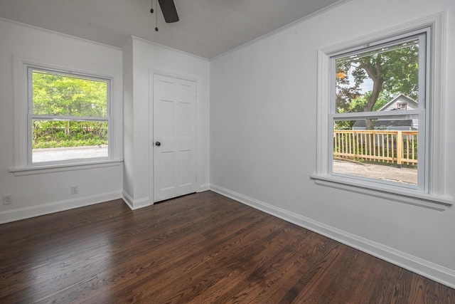 1120 N 124th St, Wauwatosa, WI 53226 - spare room with plenty of natural light, dark wood-style floors, and ornamental molding
