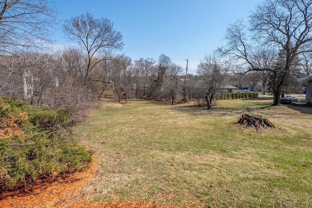 1120 N 124th St, Wauwatosa, WI 53226 - view of grassy yard