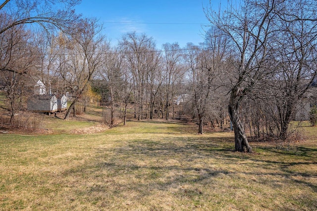 1120 N 124th St, Wauwatosa, WI 53226 - view of grassy yard