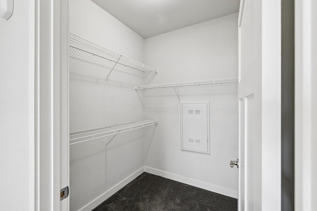 1601 N Windsor Ave Unit 106, Cottage Grove, WI 53527 - spacious closet with dark colored carpet