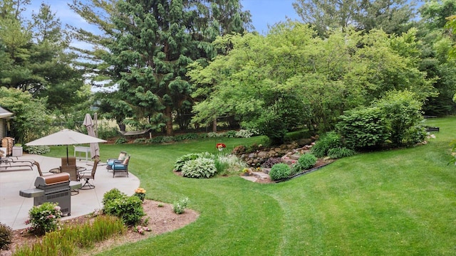 N80W32229 Northbrook Ct, Hartland, WI 53029 - view of green lawn with a patio area