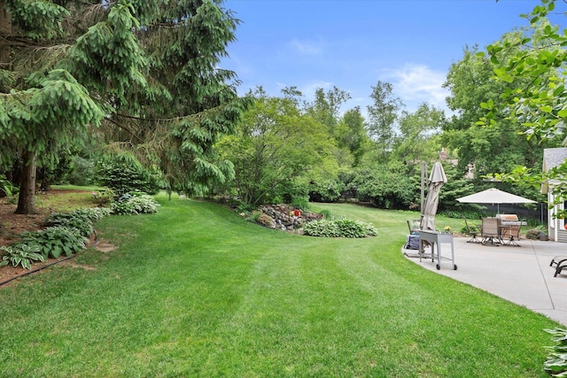 N80W32229 Northbrook Ct, Hartland, WI 53029 - view of green lawn with a patio and view of wooded area