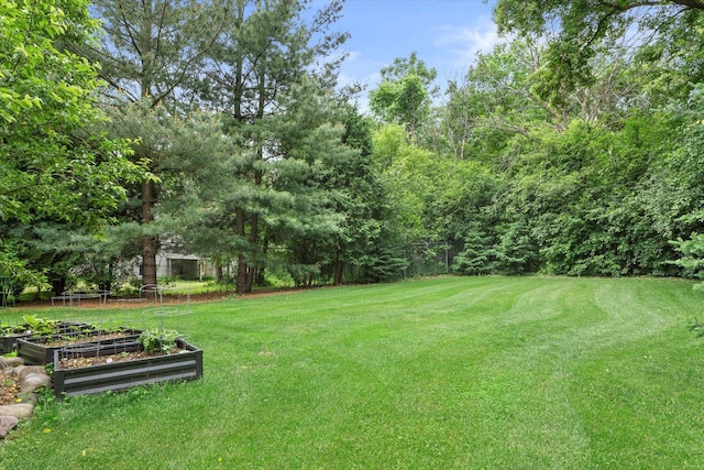 N80W32229 Northbrook Ct, Hartland, WI 53029 - view of green lawn with a vegetable garden