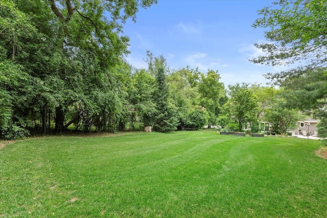 N80W32229 Northbrook Ct, Hartland, WI 53029 - view of green lawn