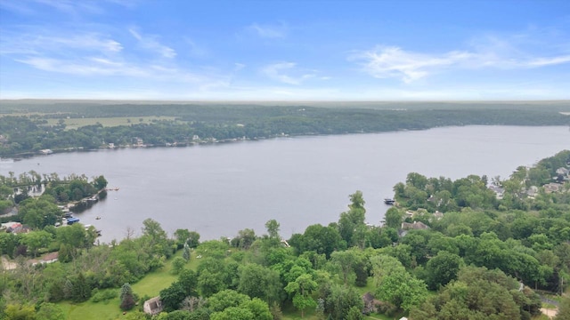 N80W32229 Northbrook Ct, Hartland, WI 53029 - drone / aerial view of a large body of water and a heavily wooded area