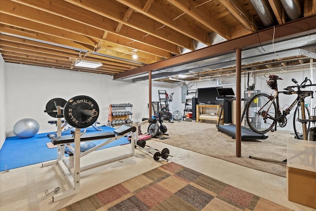 N80W32229 Northbrook Ct, Hartland, WI 53029 - workout room featuring electric panel