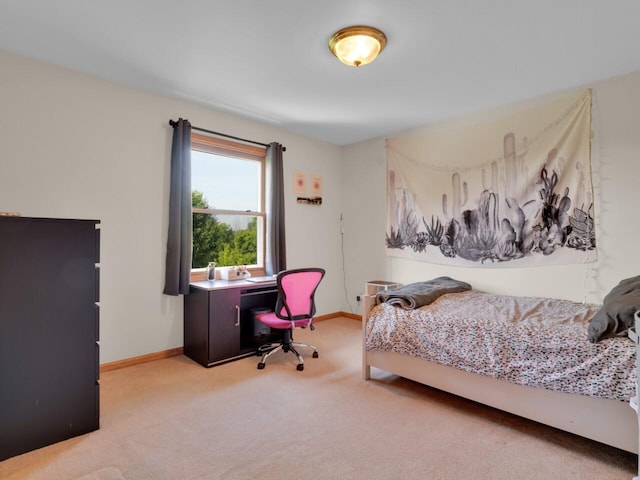 26317 Dukleth Dr, Waterford, WI 53185 - carpeted bedroom featuring baseboards and an office area