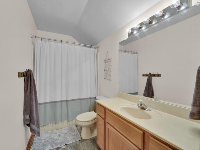 26317 Dukleth Dr, Waterford, WI 53185 - bathroom featuring vanity, vaulted ceiling, wood finished floors, and a shower with curtain