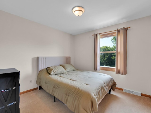 26317 Dukleth Dr, Waterford, WI 53185 - bedroom featuring carpet