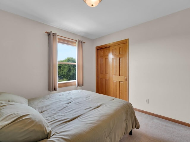 26317 Dukleth Dr, Waterford, WI 53185 - carpeted bedroom with baseboards and a closet