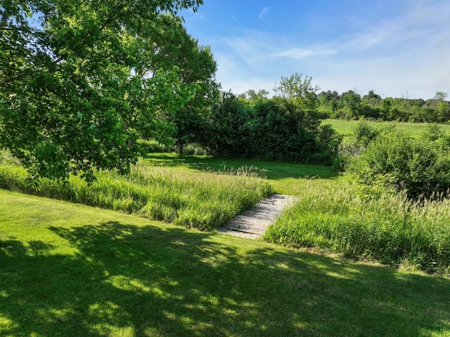 26317 Dukleth Dr, Waterford, WI 53185 - view of grassy yard