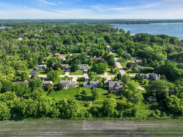 26317 Dukleth Dr, Waterford, WI 53185 - aerial view of a large body of water and a forest