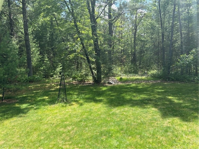 733 W Old Highway 54, Pittsville, WI 54466 - view of green lawn