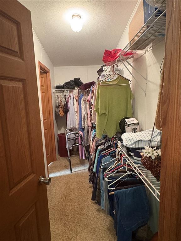 733 W Old Highway 54, Pittsville, WI 54466 - spacious closet featuring carpet floors