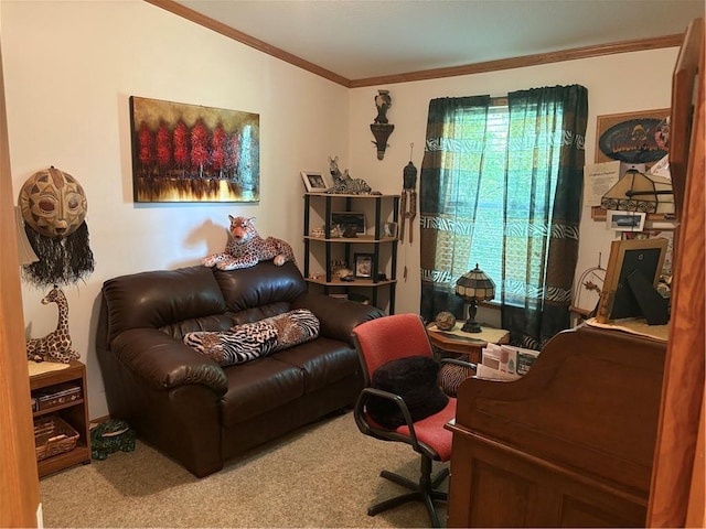 733 W Old Highway 54, Pittsville, WI 54466 - carpeted office featuring ornamental molding