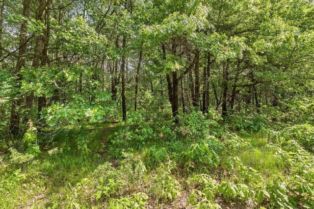 LOT4 Wallace Pl, Stevens Point, WI 54481