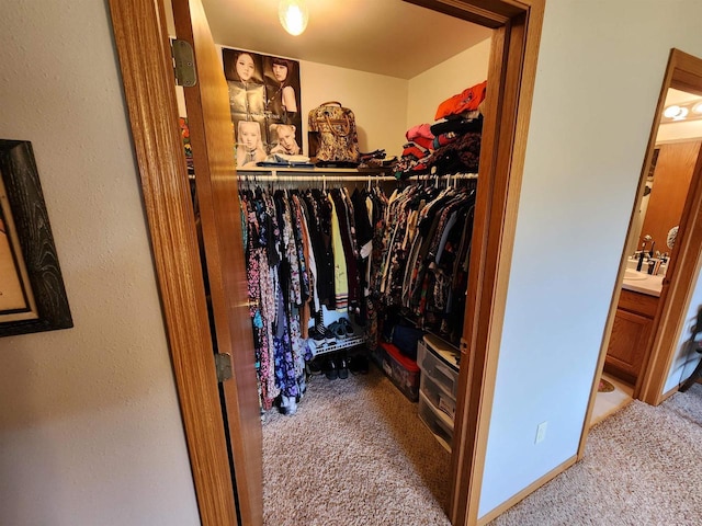 584 N Wisconsin St, Berlin, WI 54923 - spacious closet with carpet floors
