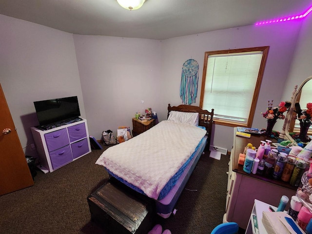 584 N Wisconsin St, Berlin, WI 54923 - bedroom featuring dark colored carpet