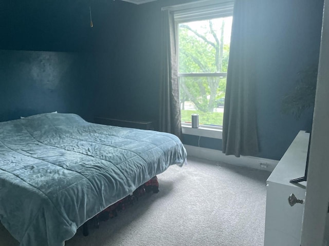 840 Lincoln Blvd, Manitowoc, WI 54220 - view of carpeted bedroom