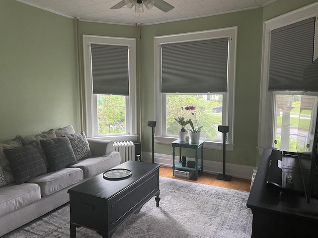 840 Lincoln Blvd, Manitowoc, WI 54220 - living room with radiator, crown molding, ceiling fan, and wood finished floors