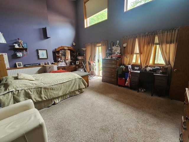 221 S Schmidt Ave, Marshfield, WI 54449 - carpeted bedroom featuring a high ceiling and a desk