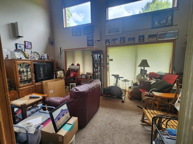 221 S Schmidt Ave, Marshfield, WI 54449 - carpeted living room with a high ceiling