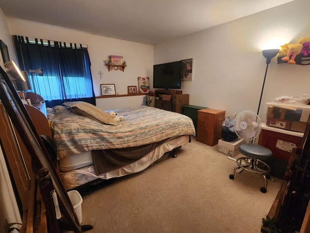 221 S Schmidt Ave, Marshfield, WI 54449 - bedroom with carpet flooring