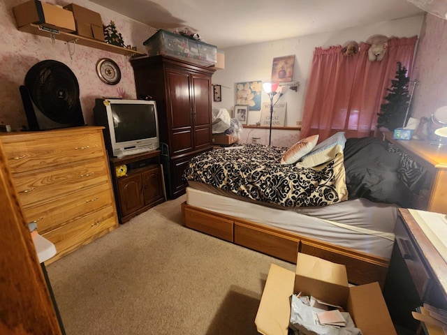 221 S Schmidt Ave, Marshfield, WI 54449 - bedroom featuring light carpet