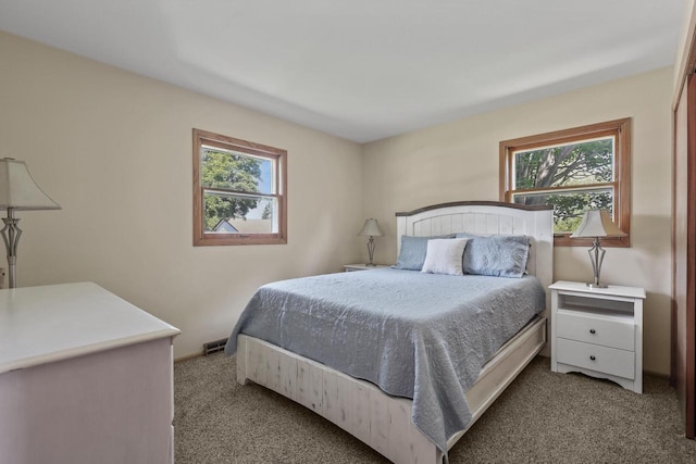 N94W17370 Erika Rd, Menomonee Falls, WI 53051 - bedroom with carpet and multiple windows