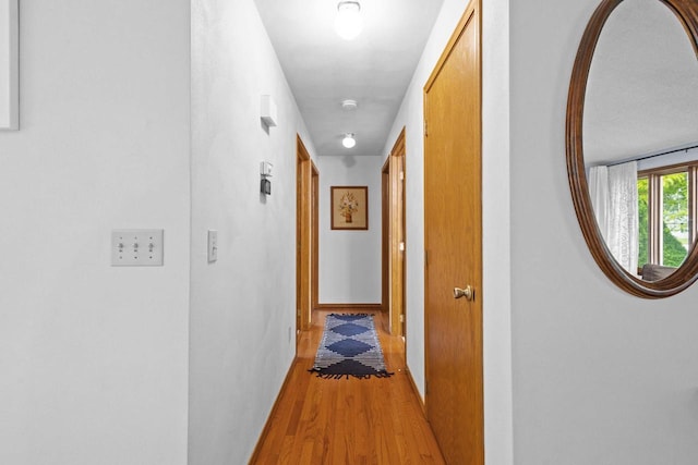 1001 W Taylor St, Appleton, WI 54914 - hall featuring light wood finished floors and baseboards