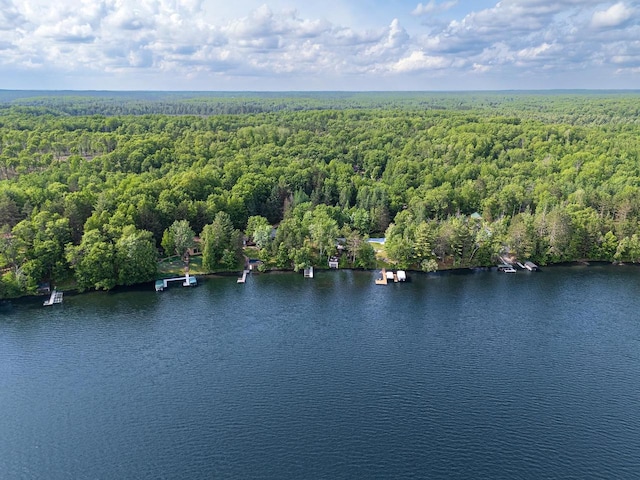 9315 N Shore Dr, Harshaw, WI 54529 - drone / aerial view of a heavily wooded area and a nearby body of water