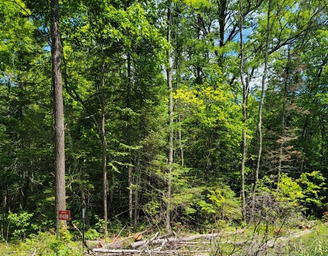 4948W Tower Rd, Winter, WI 54896