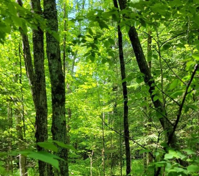 4948W Tower Rd, Winter, WI 54896