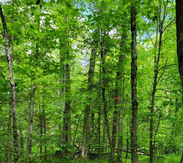 4948W Tower Rd, Winter, WI 54896