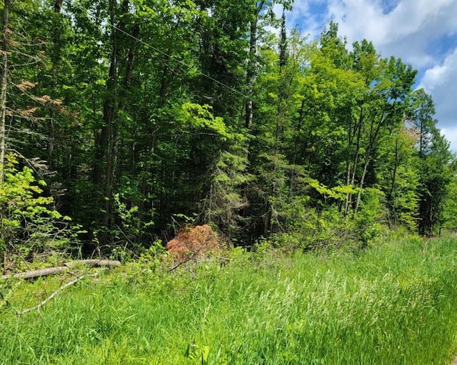 4948W Tower Rd, Winter, WI 54896