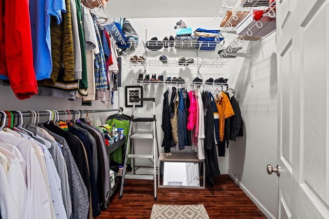 1100 W Fairy Chasm Rd, River Hills, WI 53217 - spacious closet with wood finished floors