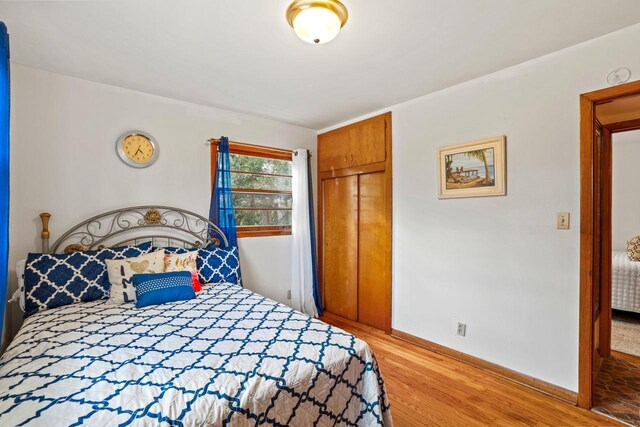1100 W Fairy Chasm Rd, River Hills, WI 53217 - bedroom featuring wood finished floors and a closet
