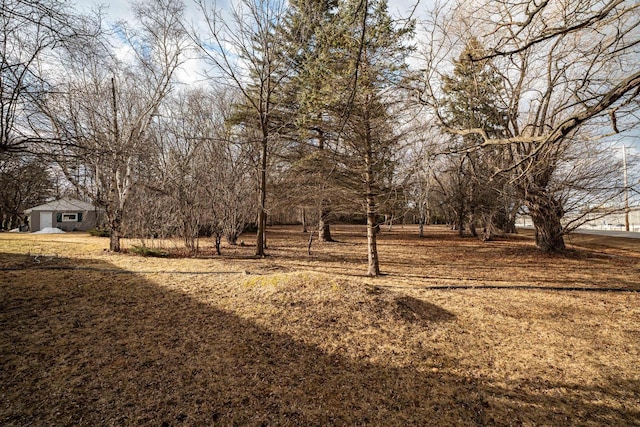 1100 W Fairy Chasm Rd, River Hills, WI 53217 - view of yard