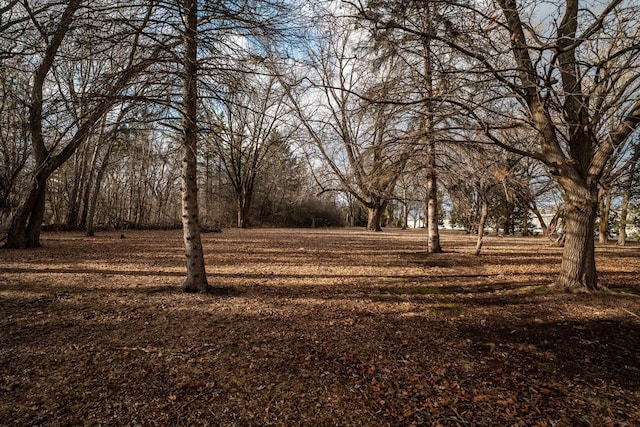 1100 W Fairy Chasm Rd, River Hills, WI 53217 - view of yard