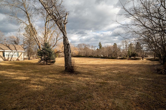 1100 W Fairy Chasm Rd, River Hills, WI 53217 - view of green lawn