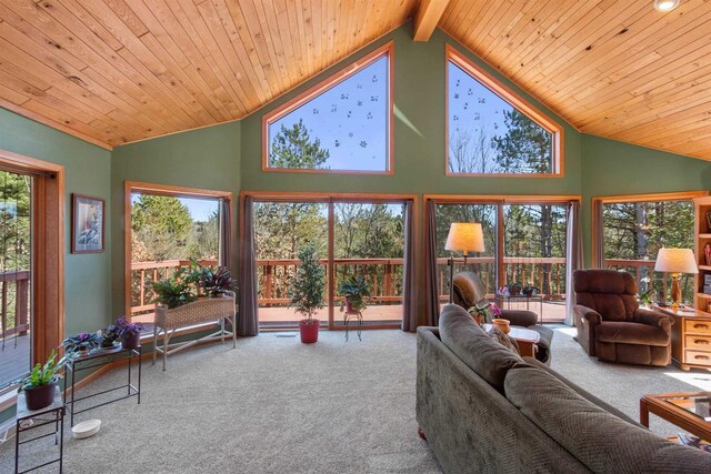 W11686 Buttercup Ave, Hancock, WI 54943 - living room featuring carpet, high vaulted ceiling, and wooden ceiling