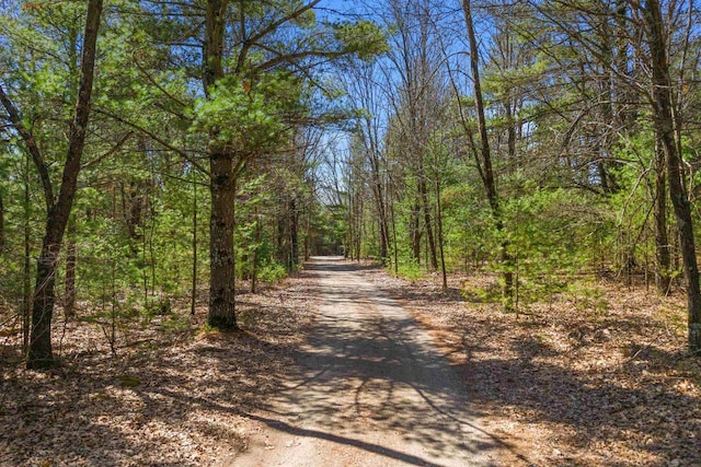 W11686 Buttercup Ave, Hancock, WI 54943 - view of street with a forest view