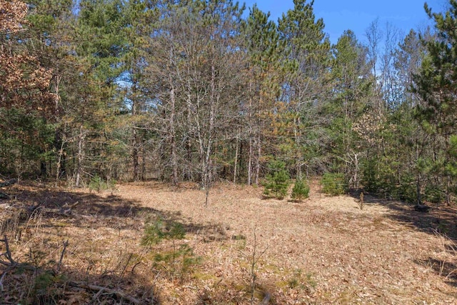 W11686 Buttercup Ave, Hancock, WI 54943 - view of tree filled area