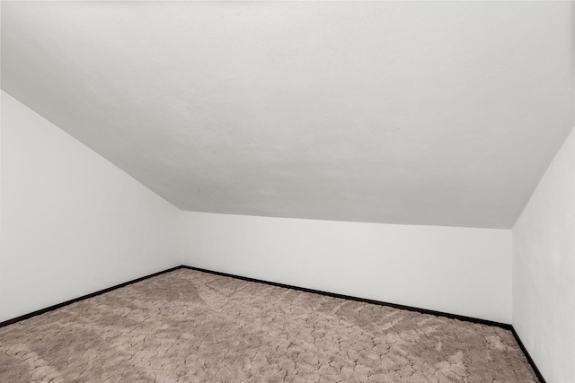 209 N Rankin St, Appleton, WI 54911 - bonus room featuring vaulted ceiling and carpet flooring