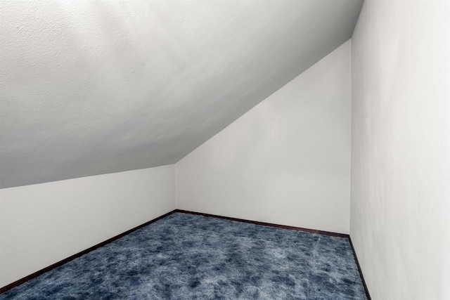 209 N Rankin St, Appleton, WI 54911 - bonus room with vaulted ceiling and dark colored carpet