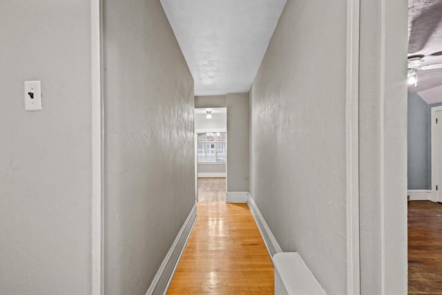 928 Emilie St, Green Bay, WI 54301 - hallway with wood finished floors