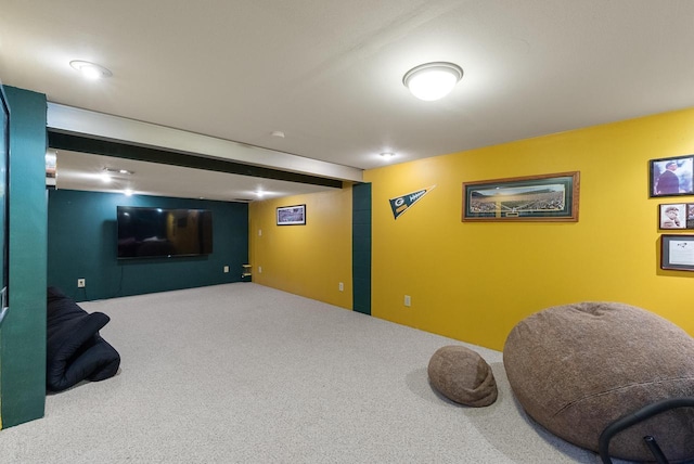 3987 Elaines Way, Slinger, WI 53086 - view of carpeted cinema room