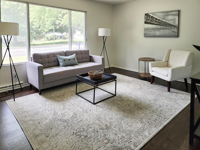 1239 Erick St, Fort Atkinson, WI 53538 - living room with plenty of natural light, wood finished floors, and a baseboard radiator