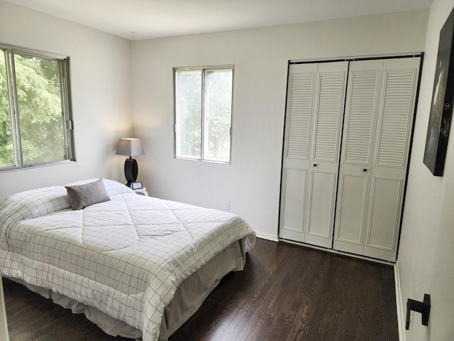 1239 Erick St, Fort Atkinson, WI 53538 - bedroom featuring dark wood-style flooring and a closet