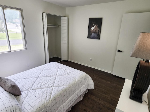 1239 Erick St, Fort Atkinson, WI 53538 - bedroom featuring dark wood-style floors and a closet